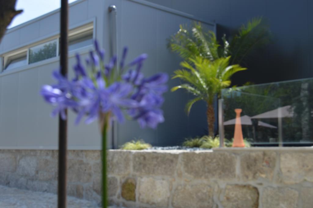 Quinta Das Tulipas Villa Barcelos Buitenkant foto